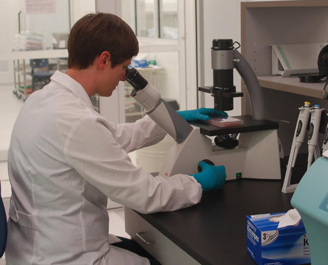 Photo of a scientist looking down a microscope