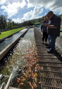 EDA has been deployed to Guam to lead the Economic Recovery Support Function in response to Typhoon Mawar.